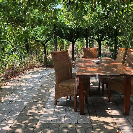 Szendergo - Apartman Hajos Pincefalu Dış mekan fotoğraf