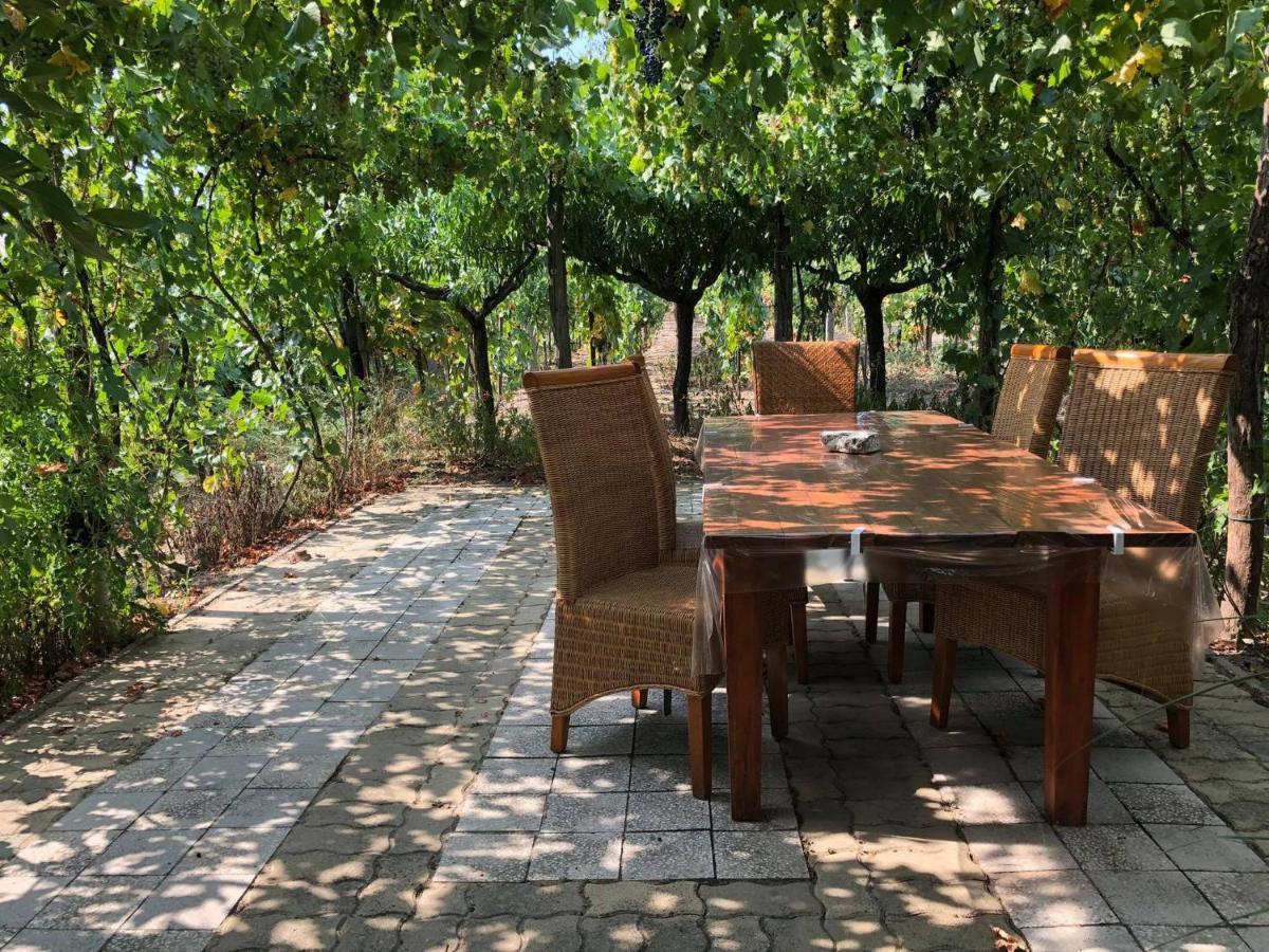 Szendergo - Apartman Hajos Pincefalu Dış mekan fotoğraf